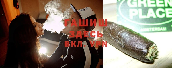 spice Богородск