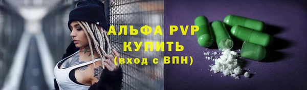 ГАЛЛЮЦИНОГЕННЫЕ ГРИБЫ Корсаков