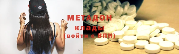 ГАЛЛЮЦИНОГЕННЫЕ ГРИБЫ Корсаков