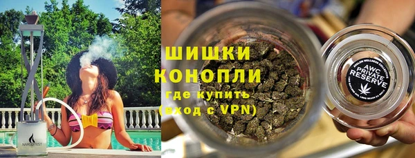 гидра Коряжма