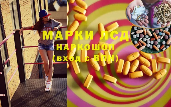 spice Богородск